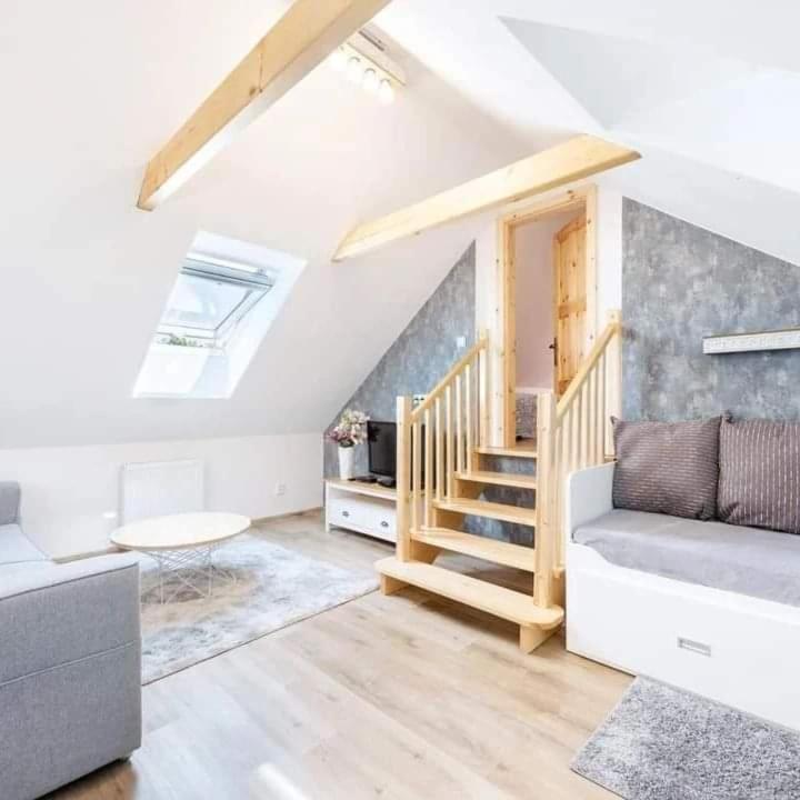 Wellness Apartmany Andrea Zdíkov Εξωτερικό φωτογραφία